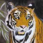 Tiger:909*727mm, Acrylic color/Arshes papier, 2012
